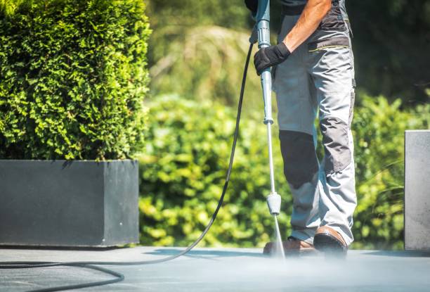 Best Roof Washing  in Ellaville, GA